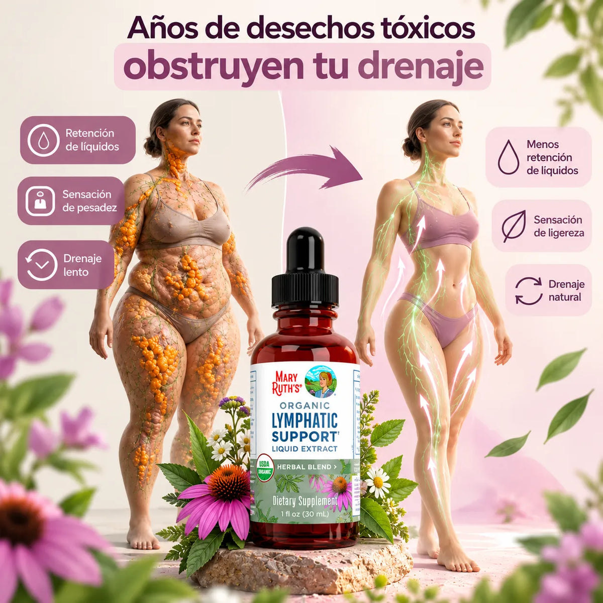 Mary Ruth's™ – Gotas de Apoyo Linfático