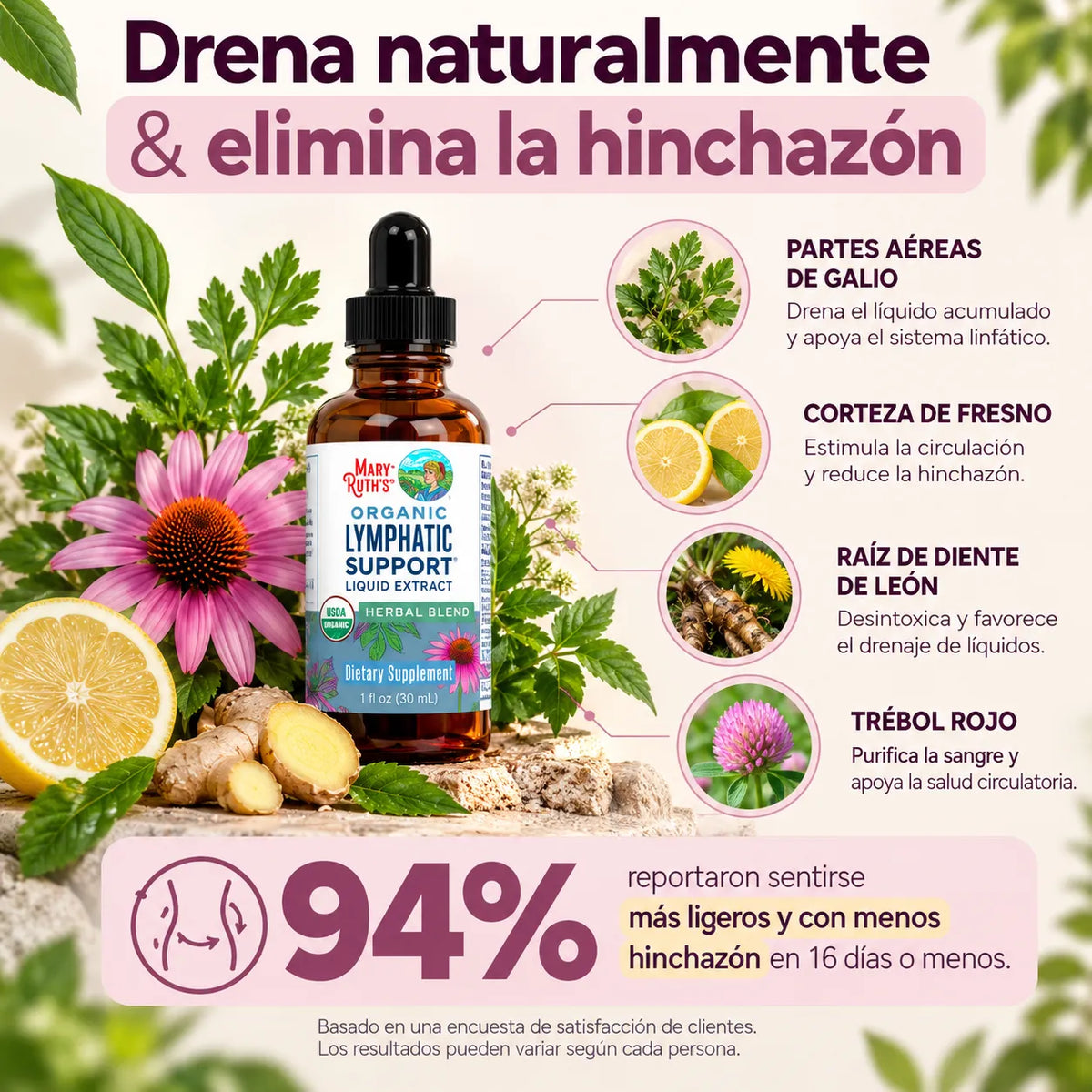 Mary Ruth's™ – Gotas de Apoyo Linfático